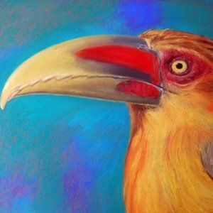 Saffron Toucanet Pastel Art Painting by McGlamorous